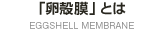 「卵殻膜」とは