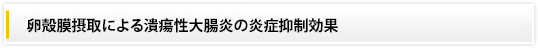 卵殻膜摂取による潰瘍性大腸炎の炎症抑制効果