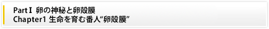 PartⅠ 卵の神秘と卵殻膜|Chapter1 生命を育む番人“卵殻膜”