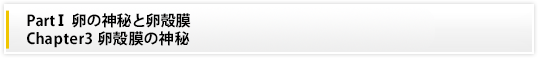 PartⅠ 卵の神秘と卵殻膜|Chapter3　卵殻膜の神秘