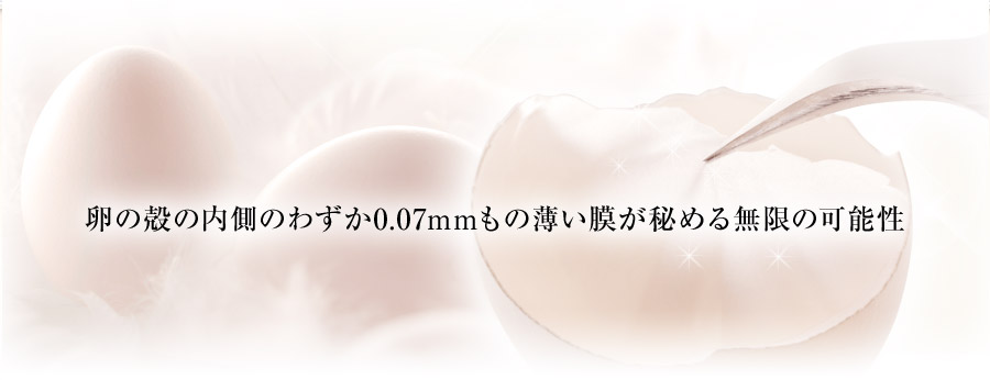 わずか0.07mmもの薄い膜が秘める無限の可能性